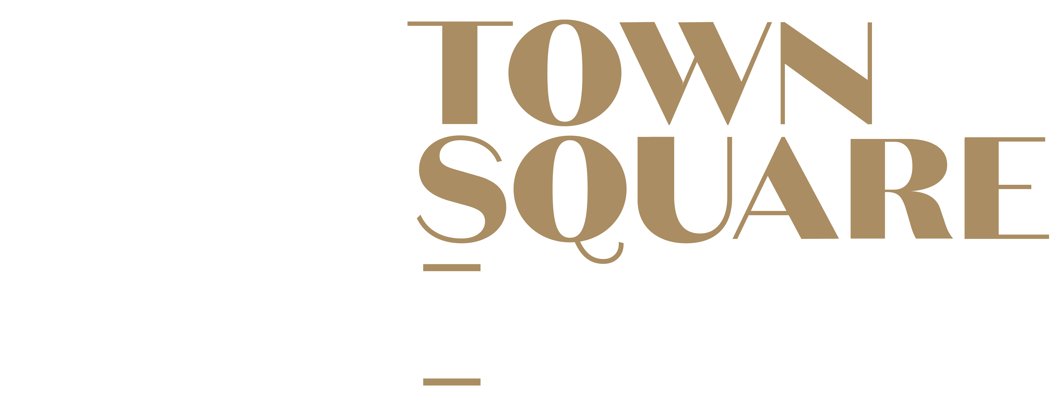 Town Square Group Logo
